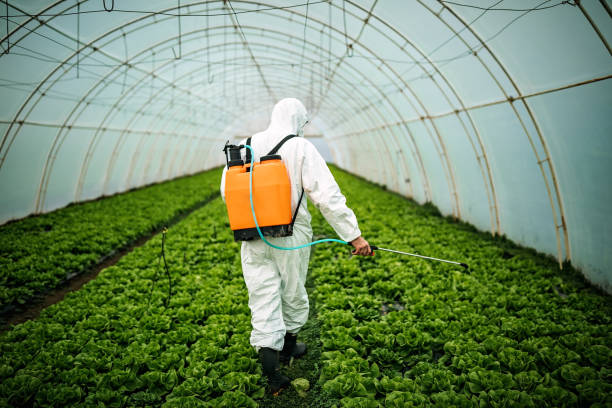 Best Pest Removal Services  in Hazard, KY