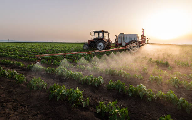 Best Mosquito Control Services  in Hazard, KY