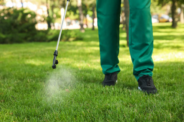 Best Pest Control for Restaurants  in Hazard, KY