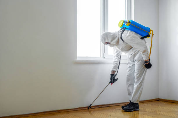 Best Pest Control for Homes  in Hazard, KY