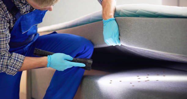 Best Wasp Removal Services  in Hazard, KY