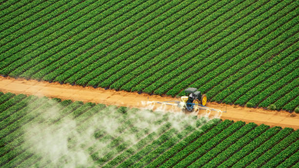 Best Best Pest Control Companies  in Hazard, KY